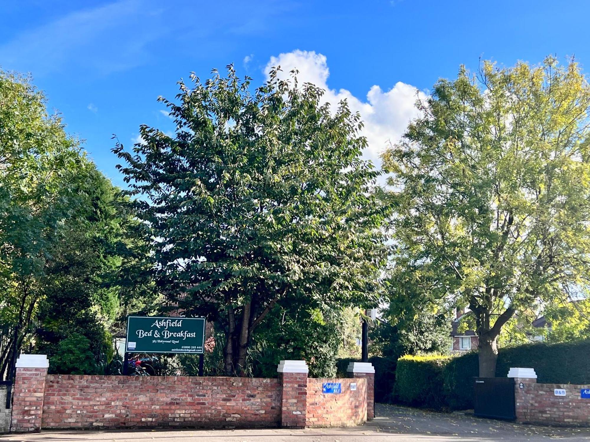 Ashfield Bed & Breakfast Белфаст Екстериор снимка