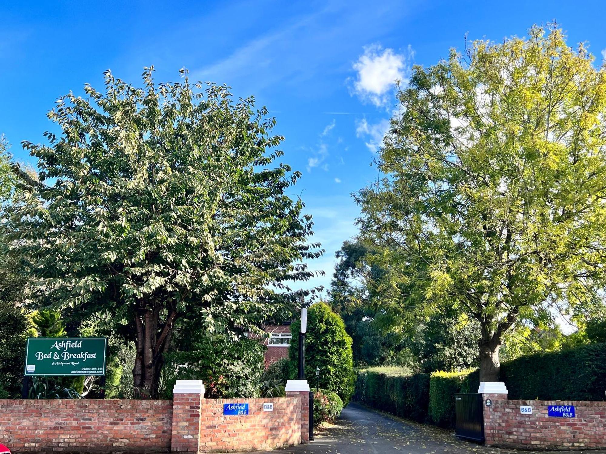 Ashfield Bed & Breakfast Белфаст Екстериор снимка